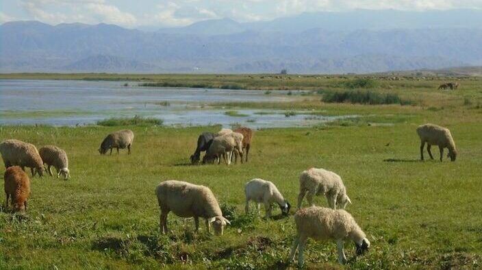 ⁨Issyk Kul⁩, ⁨Balykchy⁩, ⁨Kyrgyzstan⁩ Lake Иссык-Куль Балыкчы Ысык-Көл 巴雷克奇 伊塞克湖 バルクチ イシク・クル 발륵치 이식쿨 بالقشي إيسيك كول