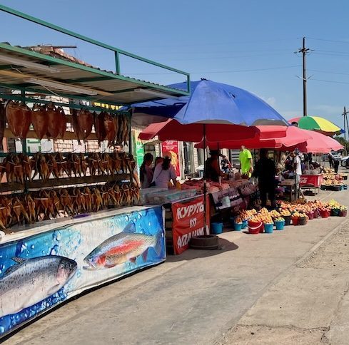 ⁨Issyk Kul⁩, ⁨Balykchy⁩, ⁨Kyrgyzstan⁩ beach Иссык-Куль Балыкчы Ысык-Көл 巴雷克奇 伊塞克湖 バルクチ イシク・クル 발륵치 이식쿨 بالقشي إيسيك كول